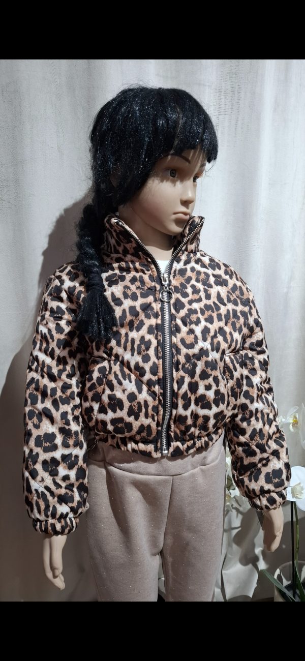 9130 JAKNA